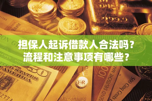 北京担保人起诉借款人合法吗？流程和注意事项有哪些？