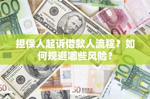 北京担保人起诉借款人流程？如何规避哪些风险？