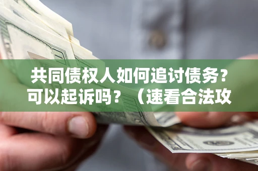 北京共同债权人如何追讨债务？可以起诉吗？（速看合法攻略）