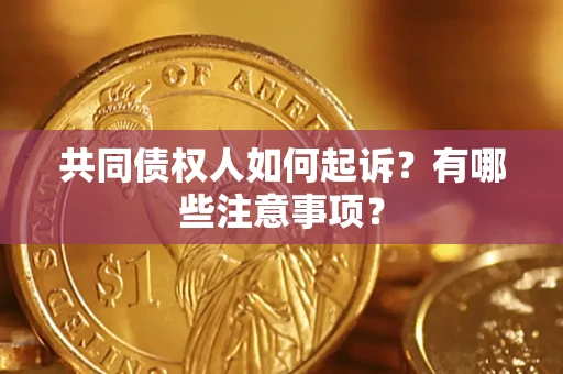 北京共同债权人如何起诉？有哪些注意事项？